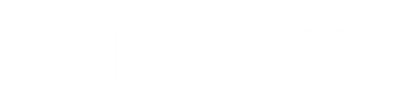 Wink Condoms Logo